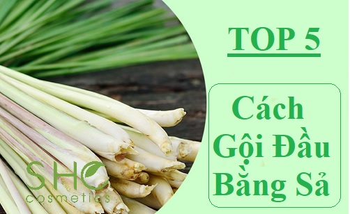 Cập nhật nhiều hơn 23 cách trị rụng tóc bằng sả siêu đỉnh 6 2 Cách trị rụng tóc kích thích mọc tóc từ sả củ